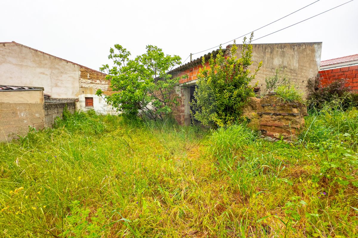 listing 124771157-2 picture-0