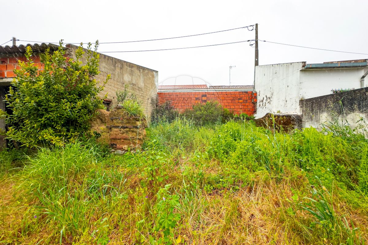 listing 124771157-2 picture-0