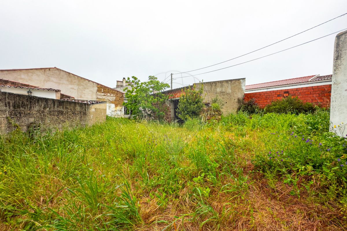 listing 124771157-2 picture-0