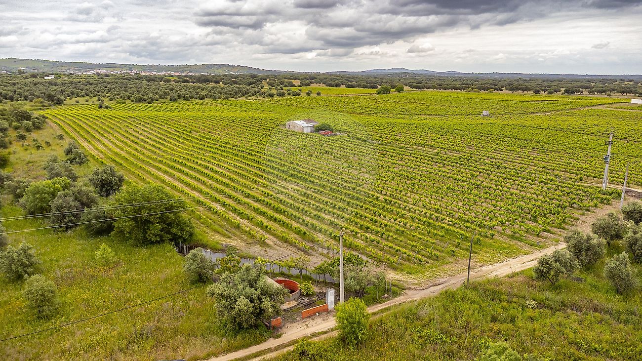 Terreno para venda