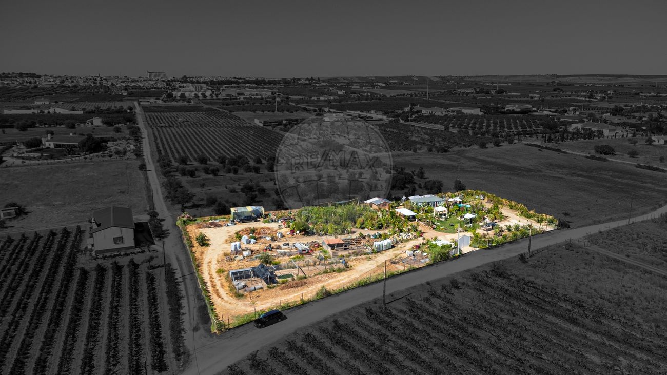 Terreno  para venda