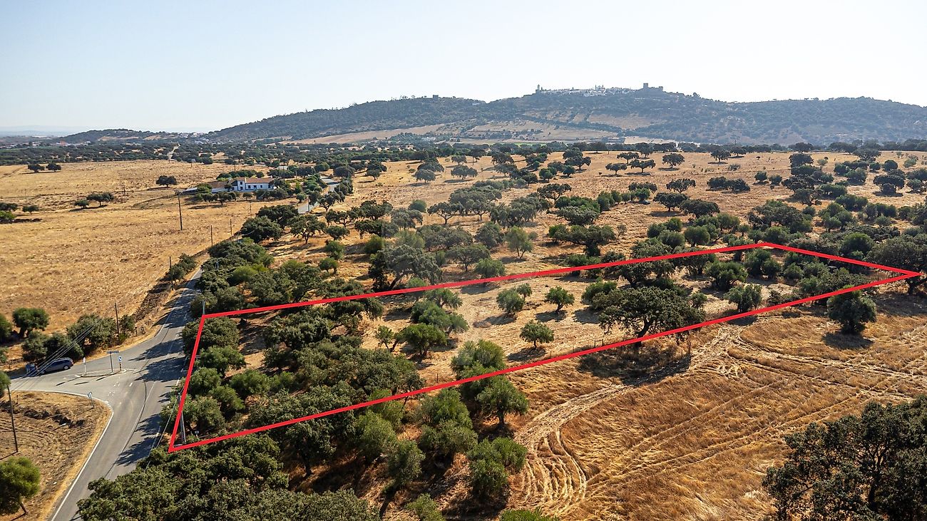 Terreno  para venda