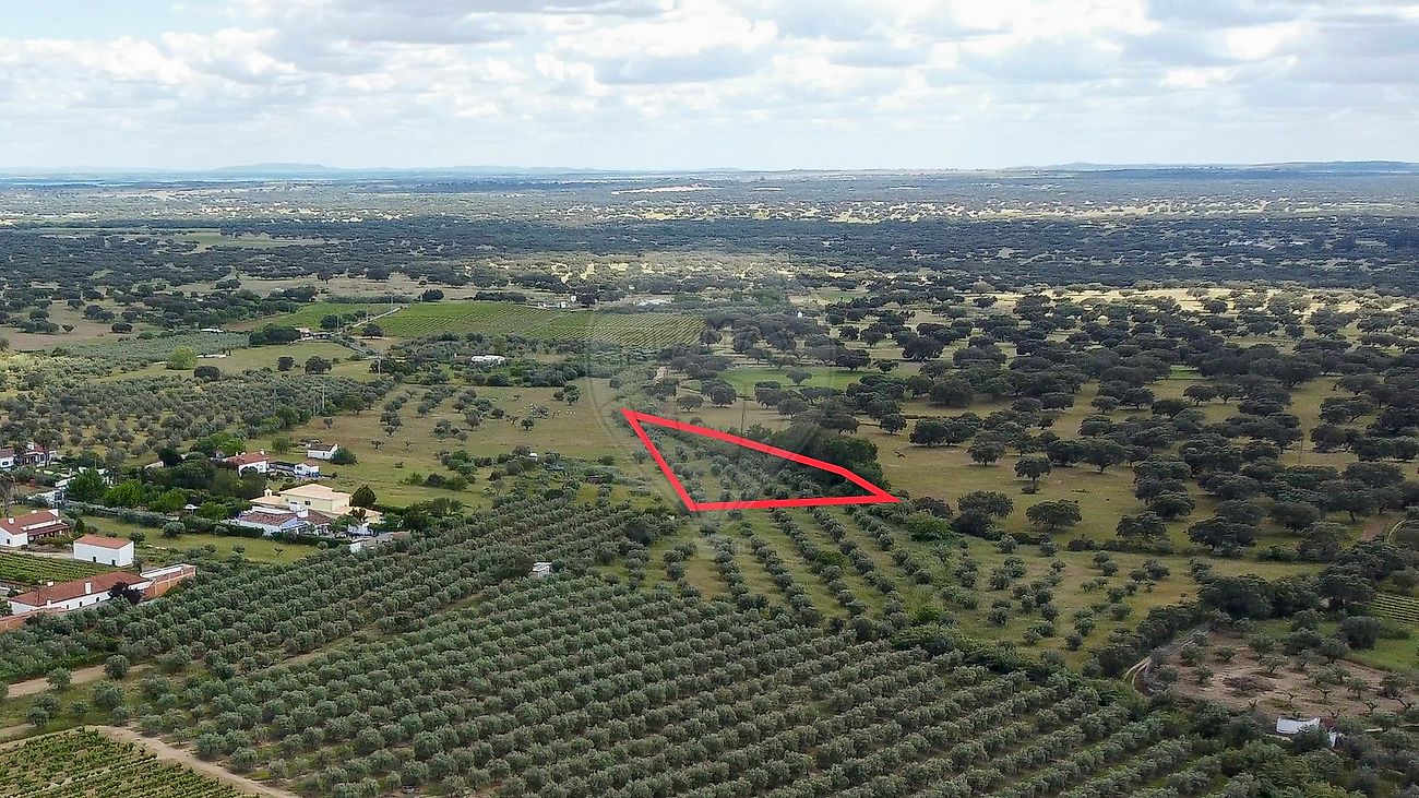 Terreno - Corval, Reguengos de Monsaraz, Évora