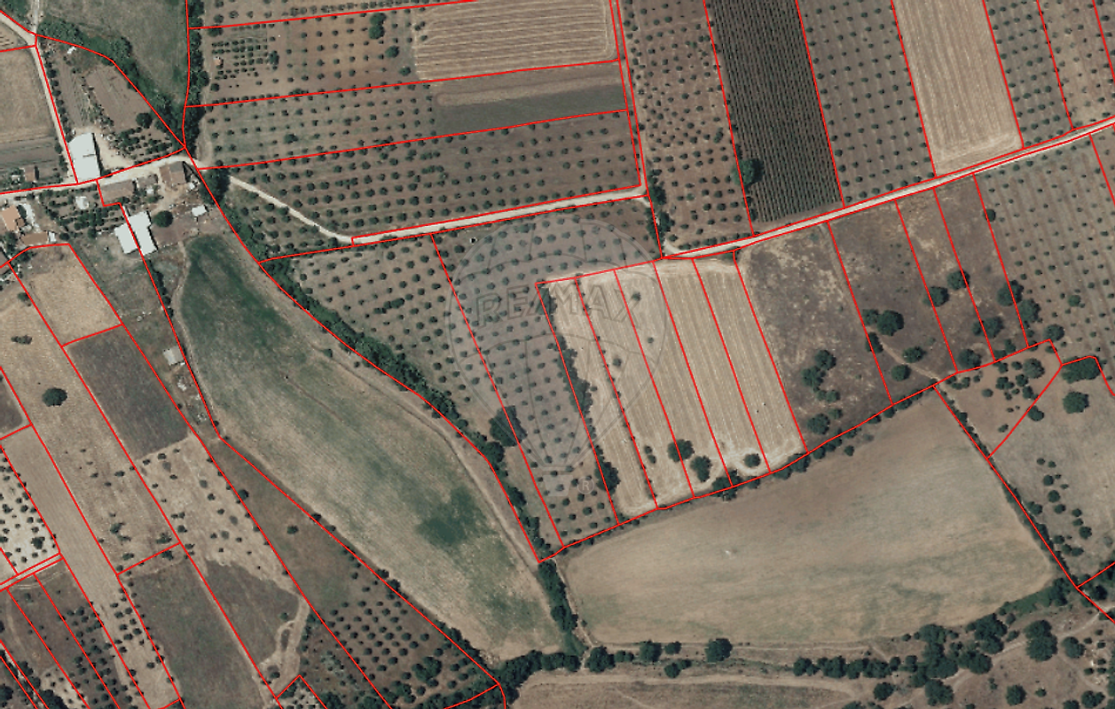 Terreno - Monsaraz, Reguengos de Monsaraz, Évora
