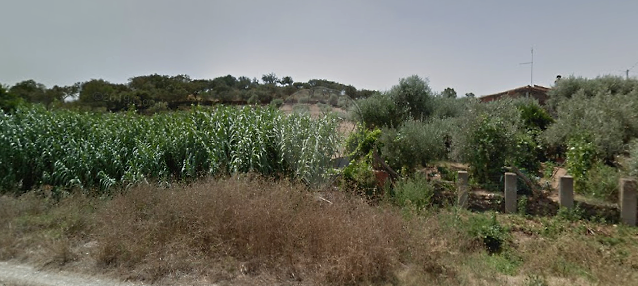 Terreno - Santiago Maior, Alandroal, Évora