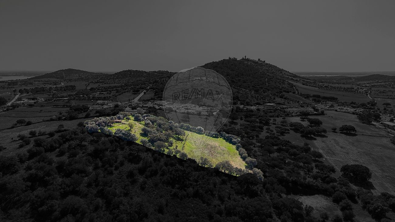 Terreno - Monsaraz, Reguengos de Monsaraz, Évora