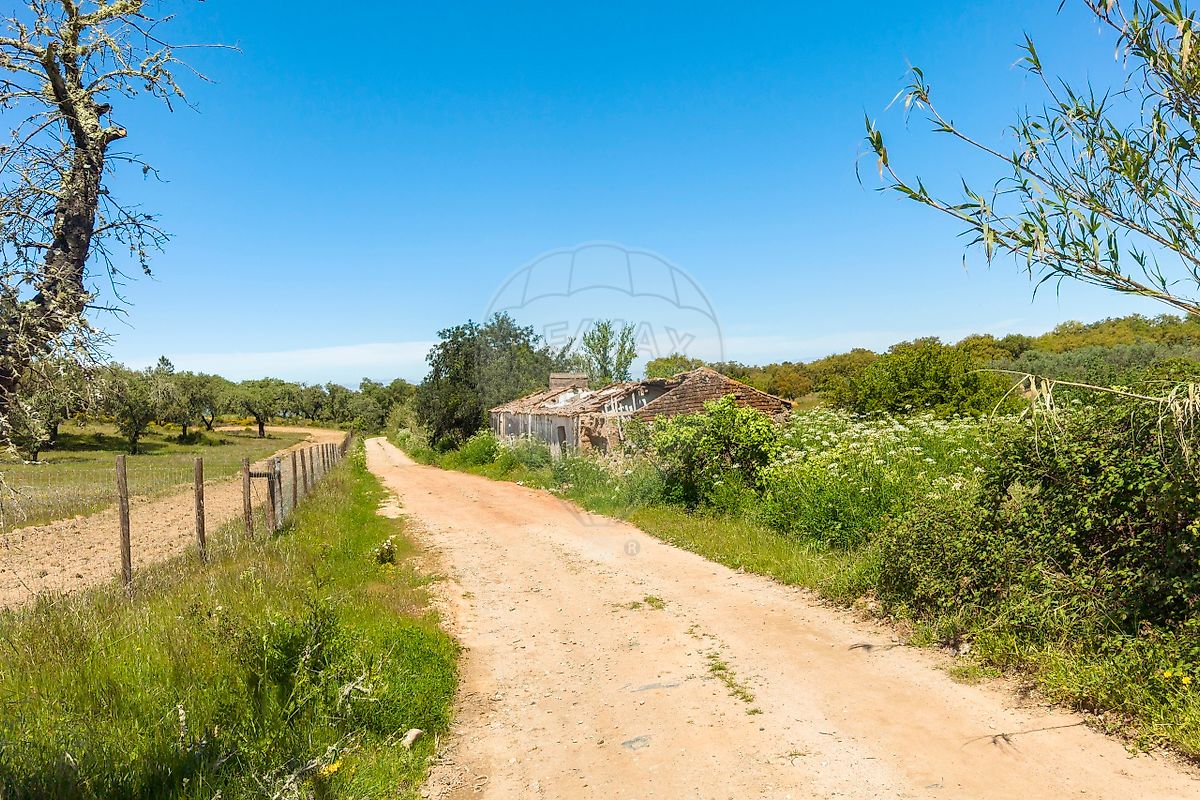 Quinta - São Bartolomeu do Outeiro e Oriola, Portel, Évora