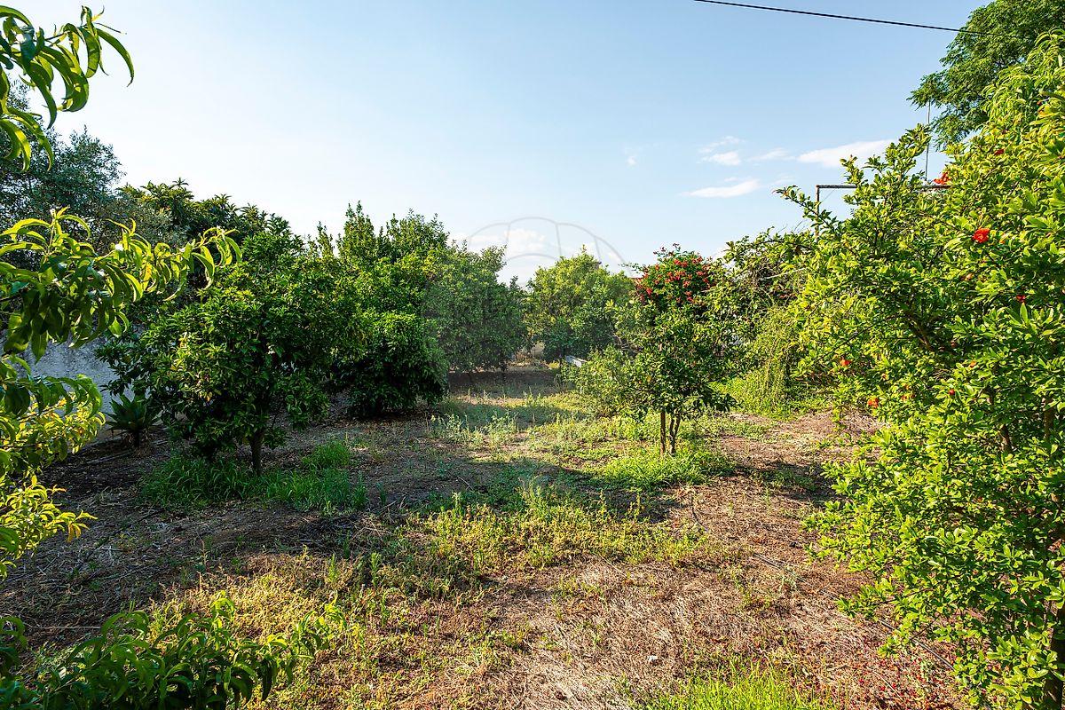 Moradia T3 à venda em Monsaraz, Reguengos de Monsaraz — foto 35