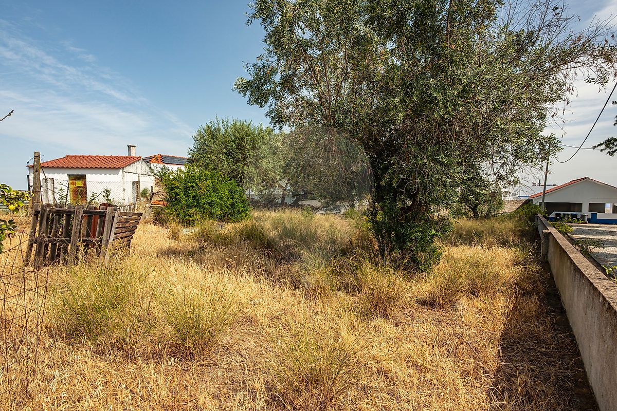 Moradia T3 à venda em Aguiar, Viana do Alentejo — foto 40