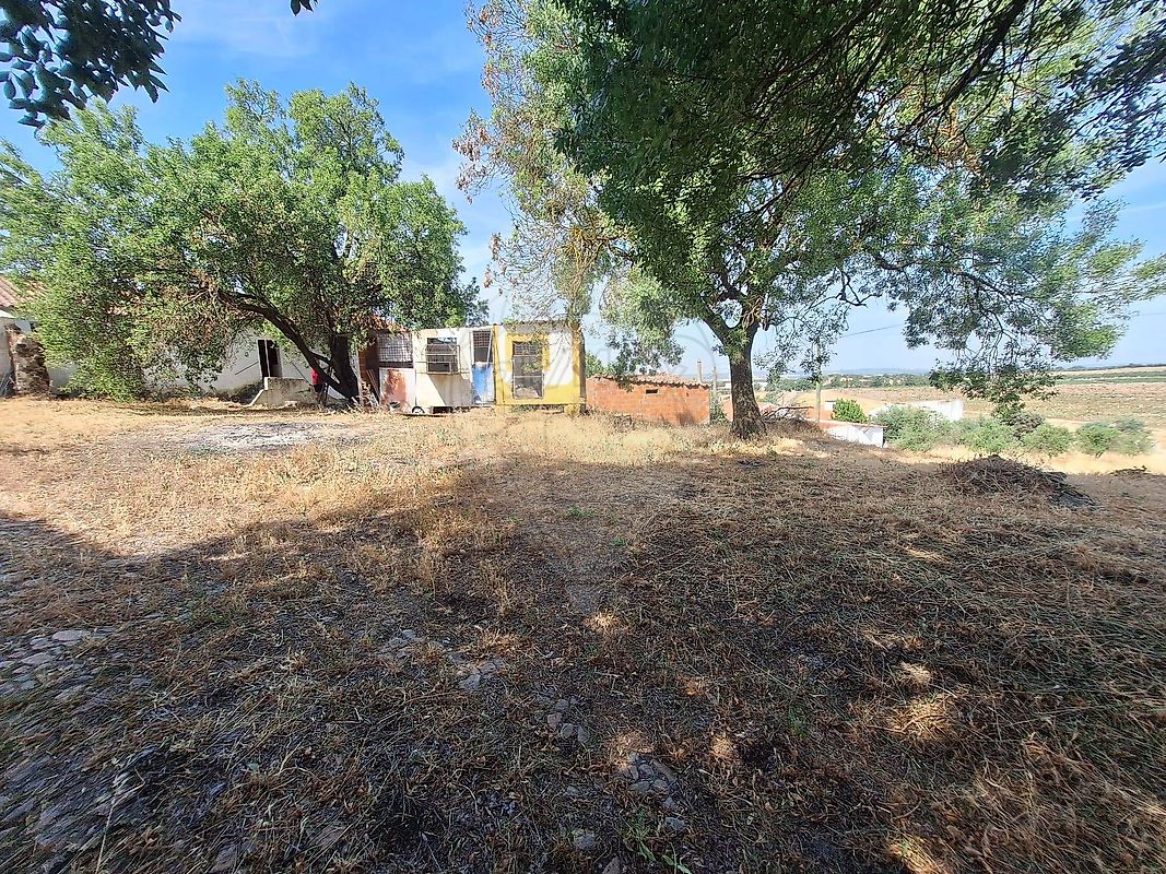 Moradia T3 à venda em Figueira e Barros, Avis — foto 38