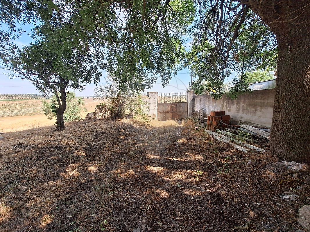 Moradia T3 à venda em Figueira e Barros, Avis — foto 35