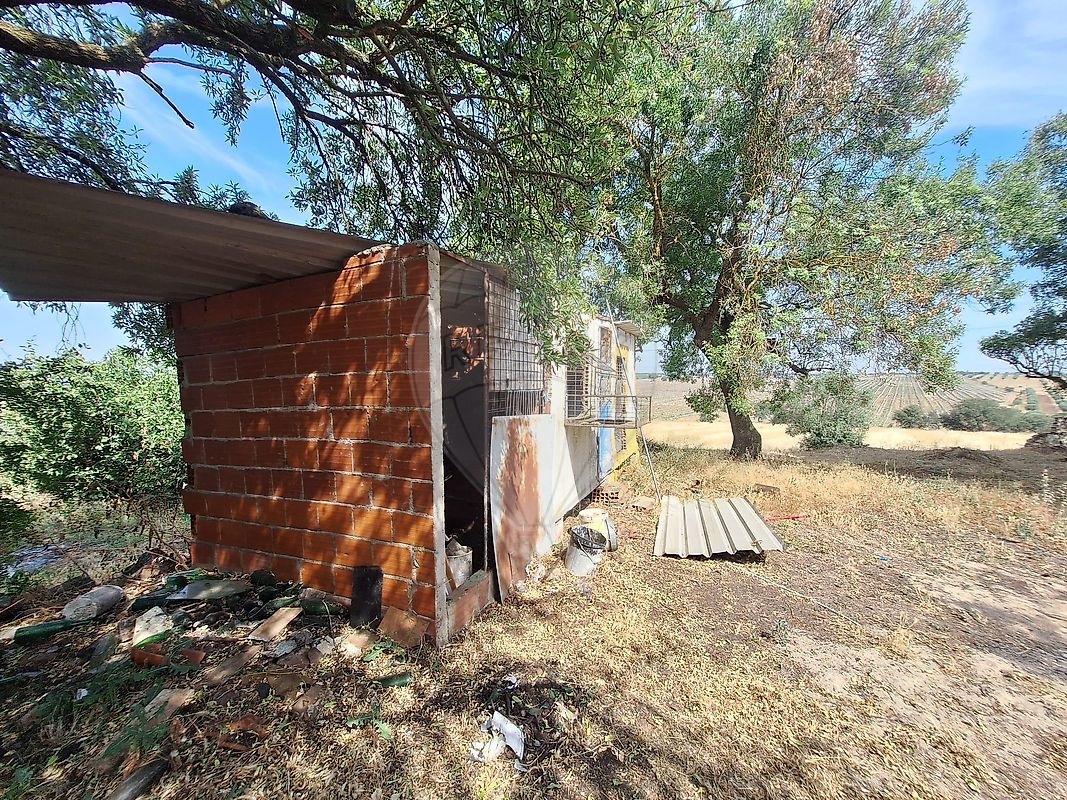 Moradia T3 à venda em Figueira e Barros, Avis — foto 37