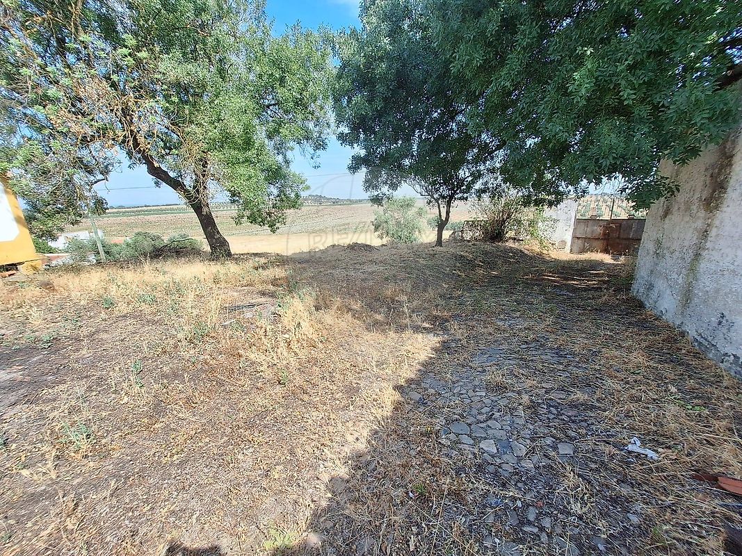 Moradia T3 à venda em Figueira e Barros, Avis — foto 39