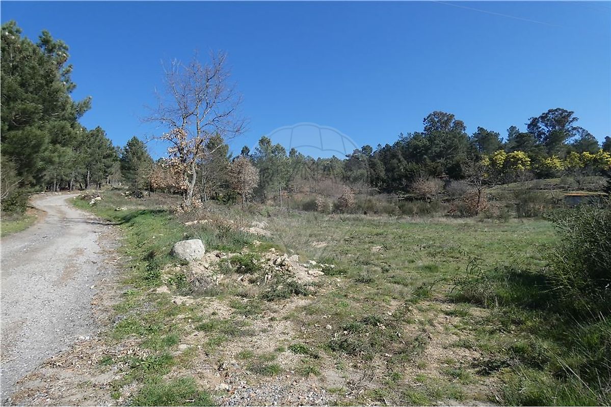 Terreno - Rossas - Ferreirim