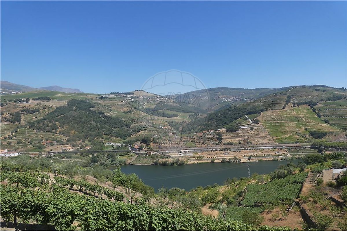 Terreno com vistas Douro