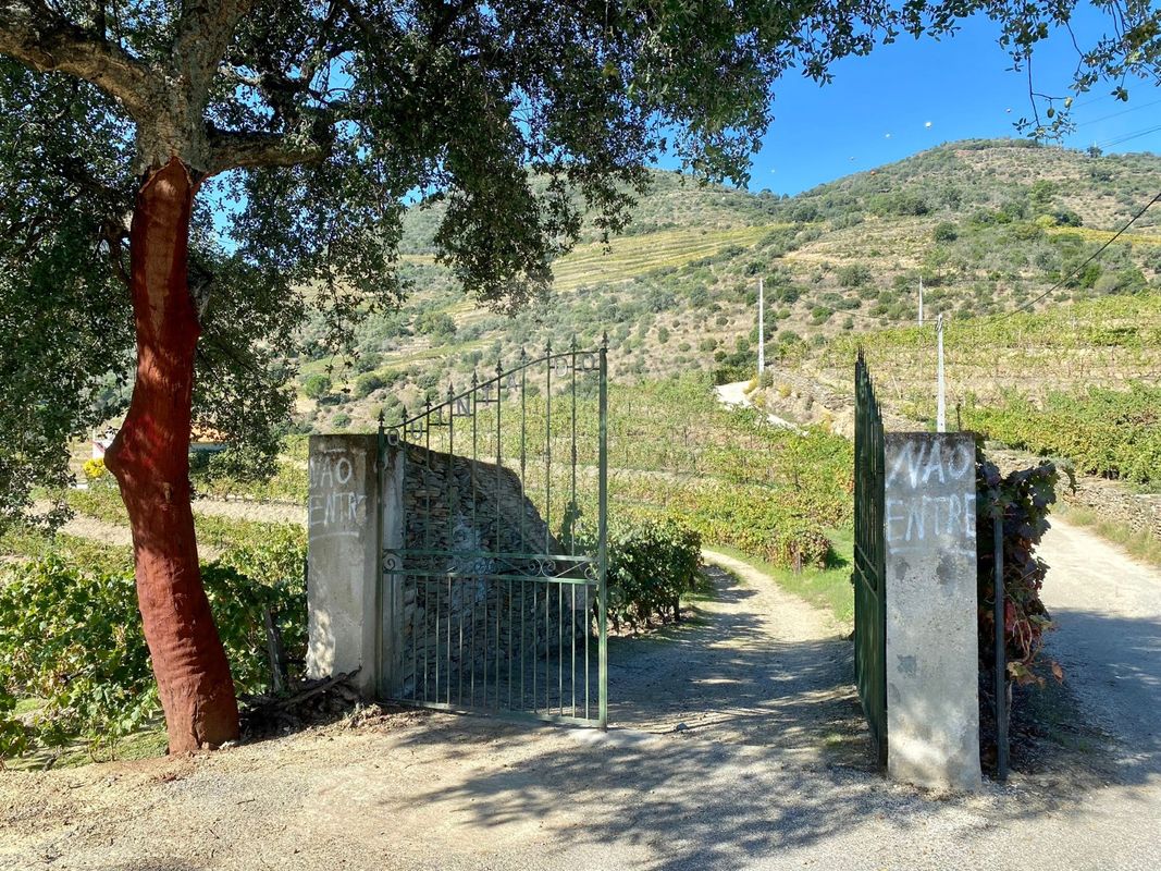 Quinta  para venda