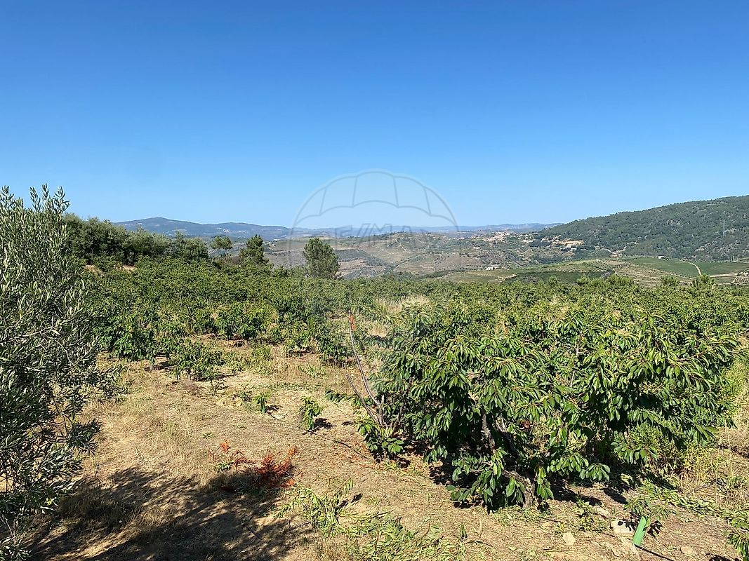Terreno  para venda
