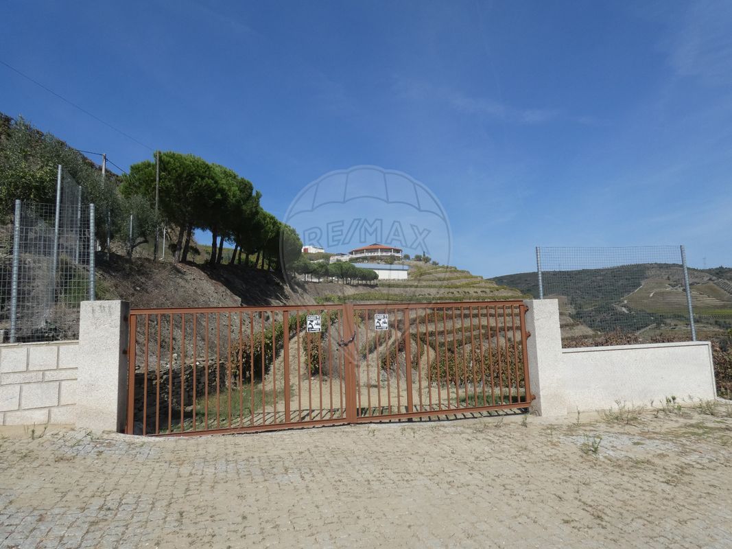 Quinta  para venda