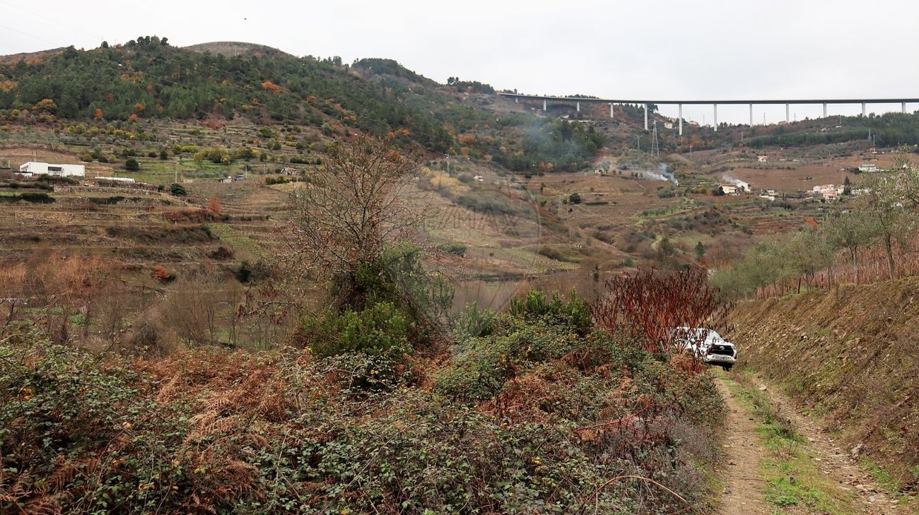 Terreno para venda
