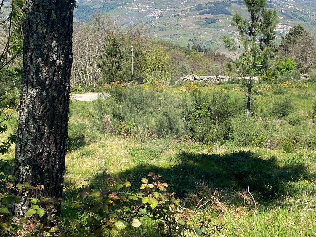 TODO