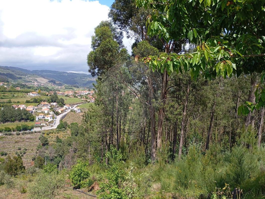 TODO