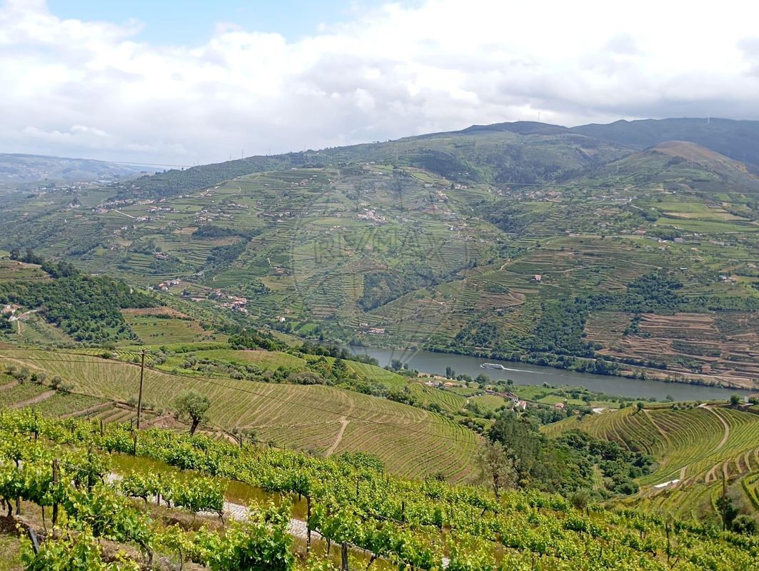 Terreno  para venda
