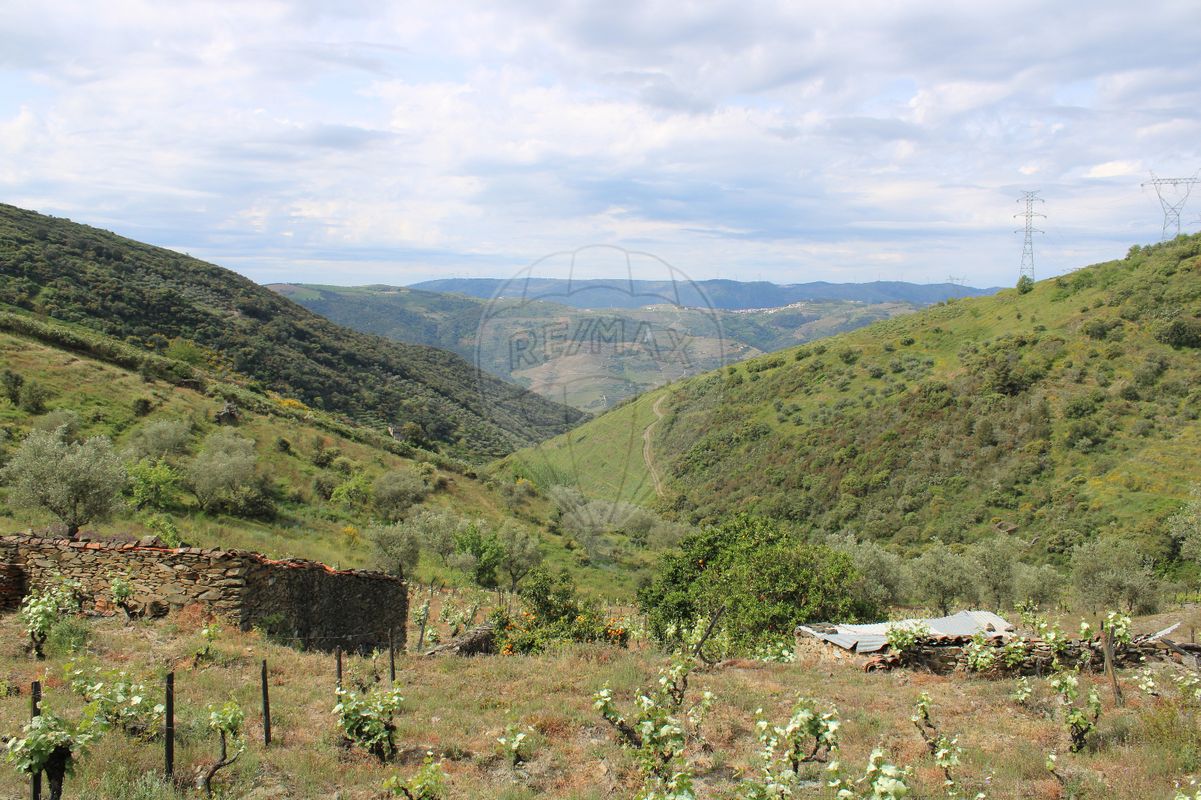 Quinta para venda