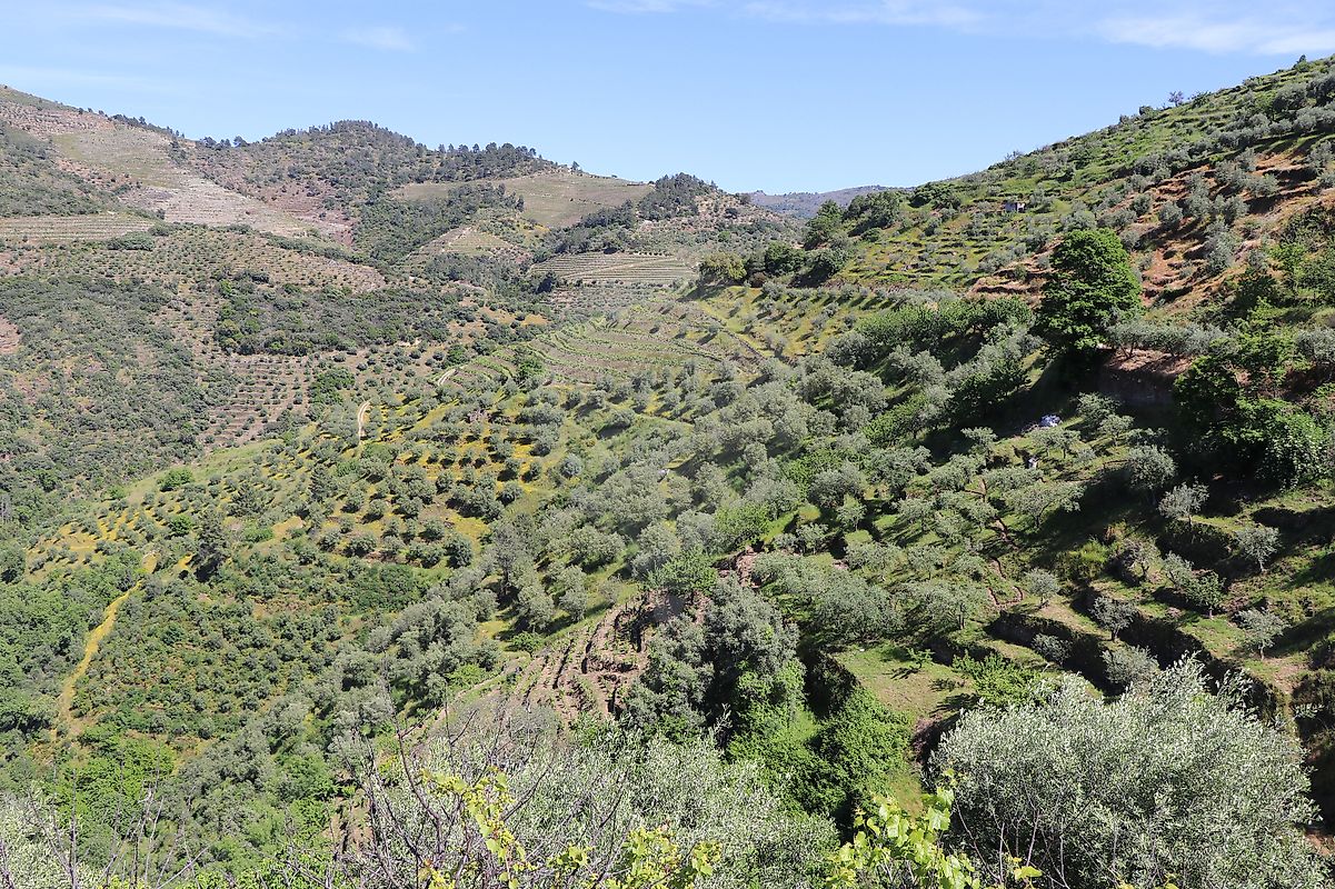 Terreno  para venda