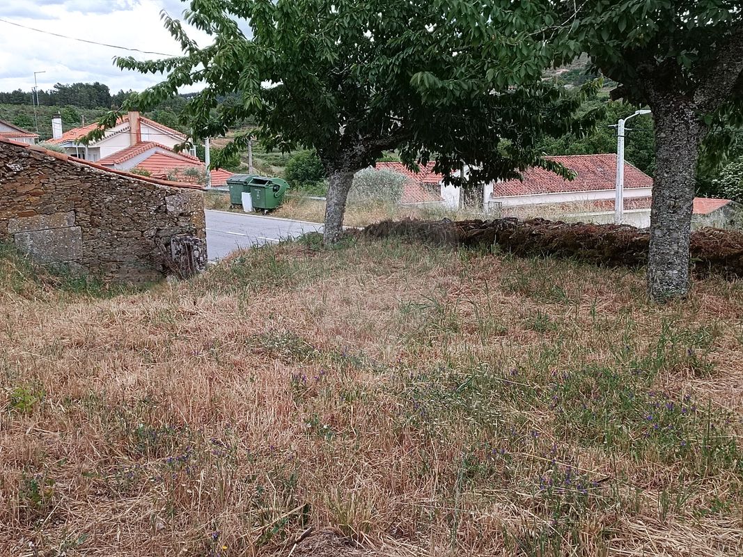 TODO
