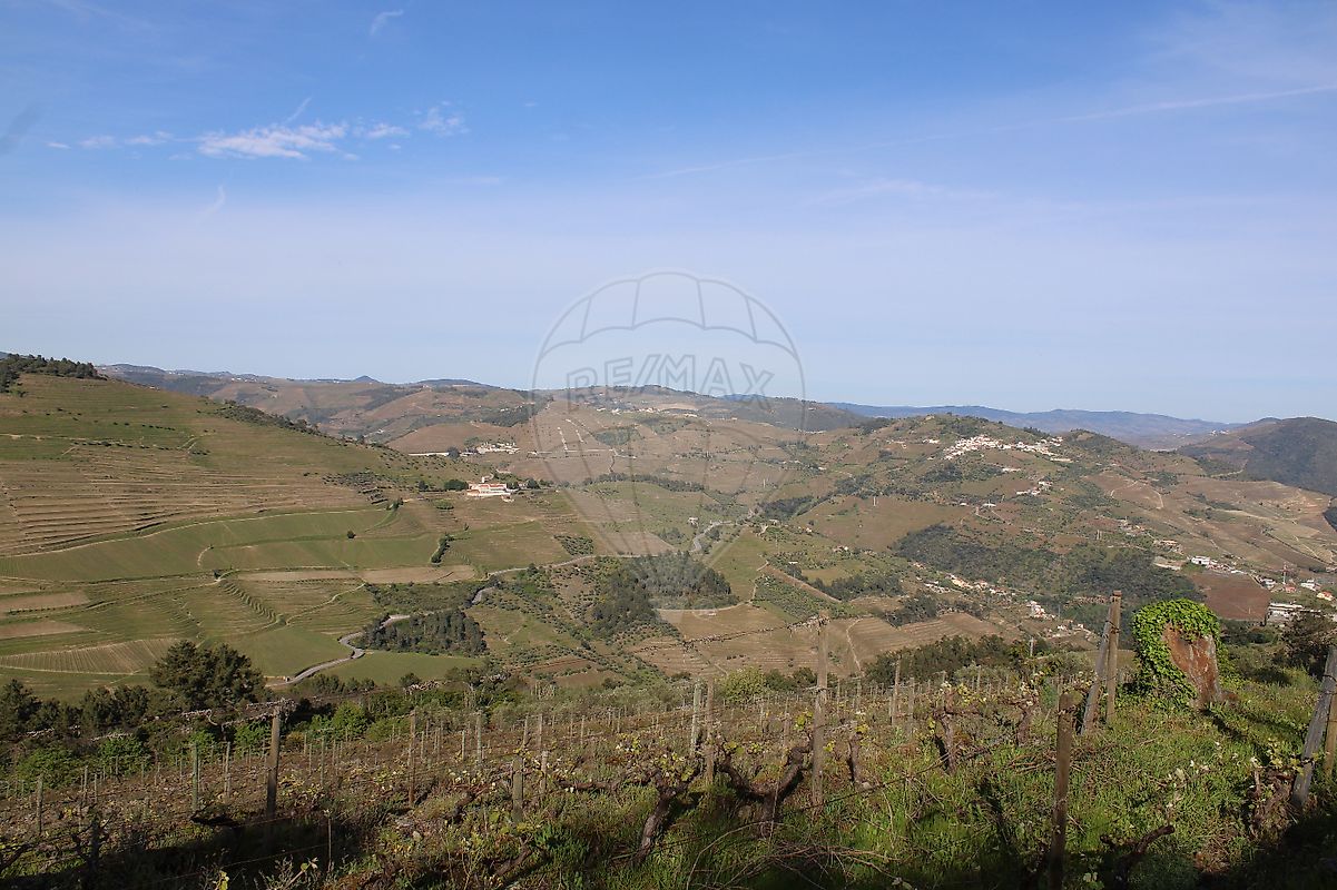 Terreno para venda