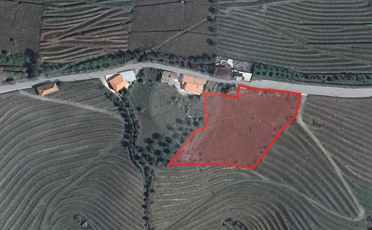Terreno em Santa Marta de Penaguião
