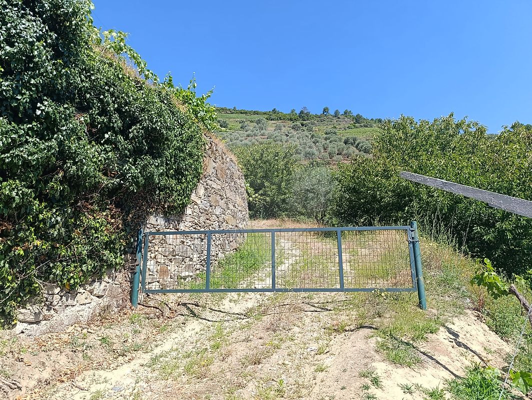Quinta para venda