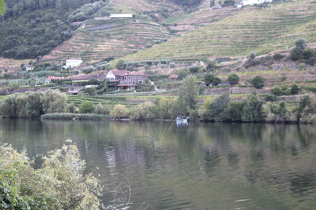 Terreno para venda