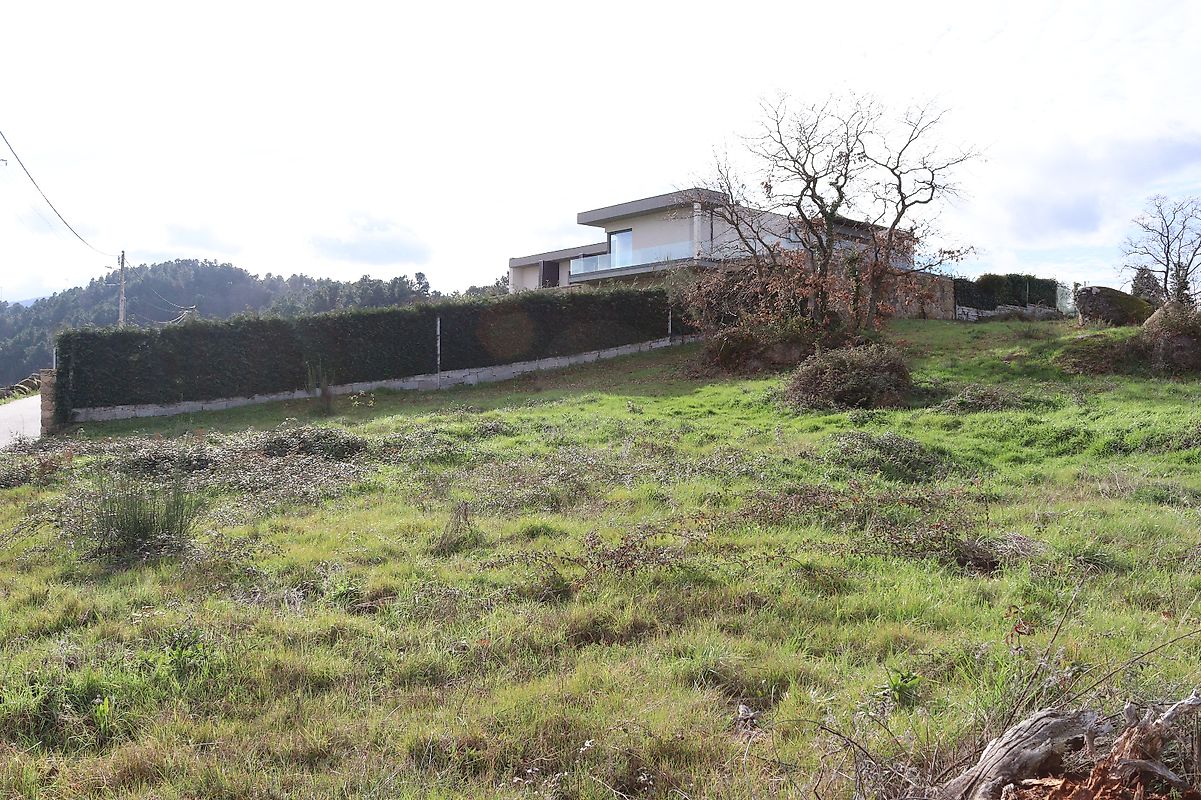 Terreno em Tarouca