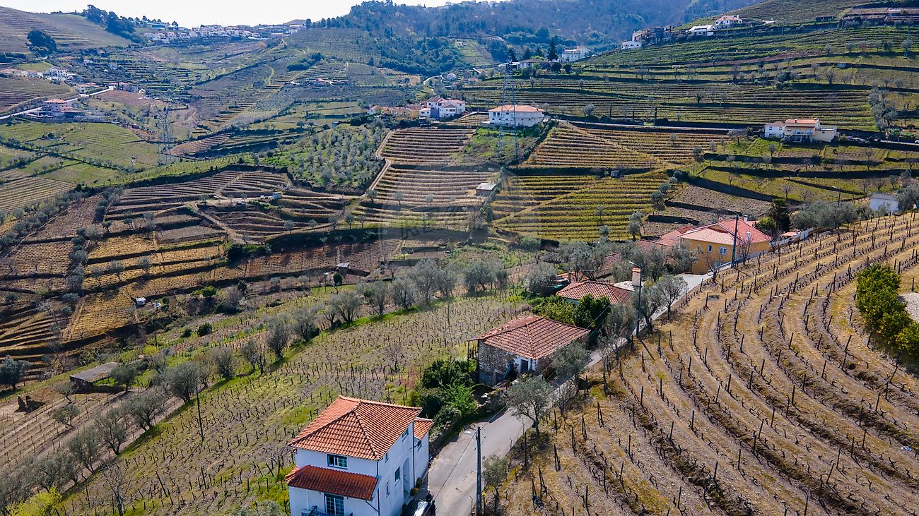 Moradia T0 à venda em Cambres, Lamego — foto 12