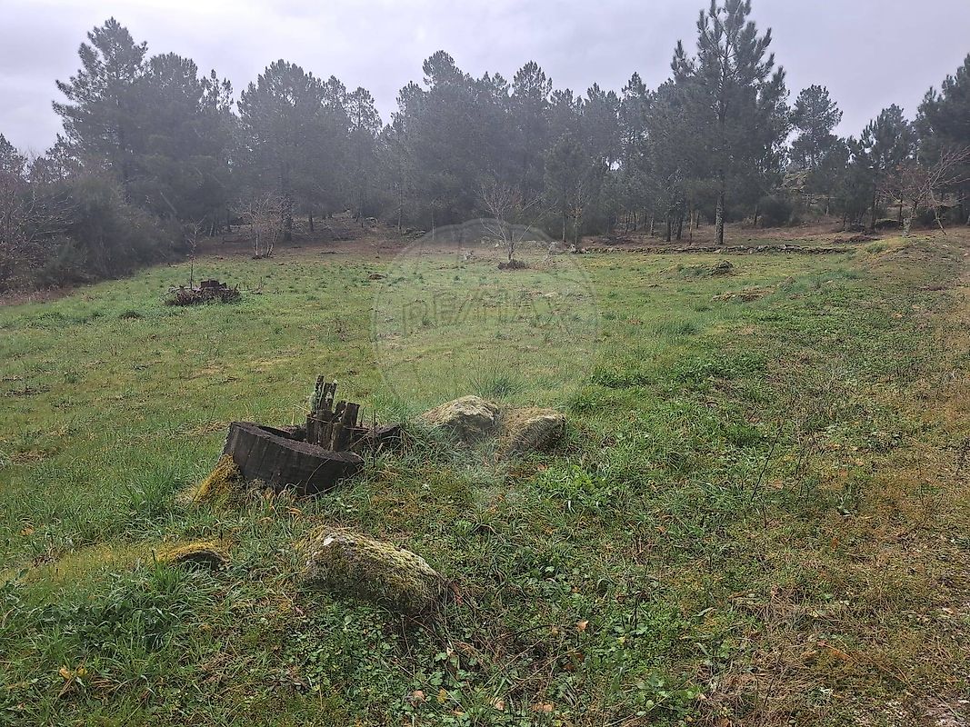 Terreno - Castelo, Moimenta da Beira, Viseu