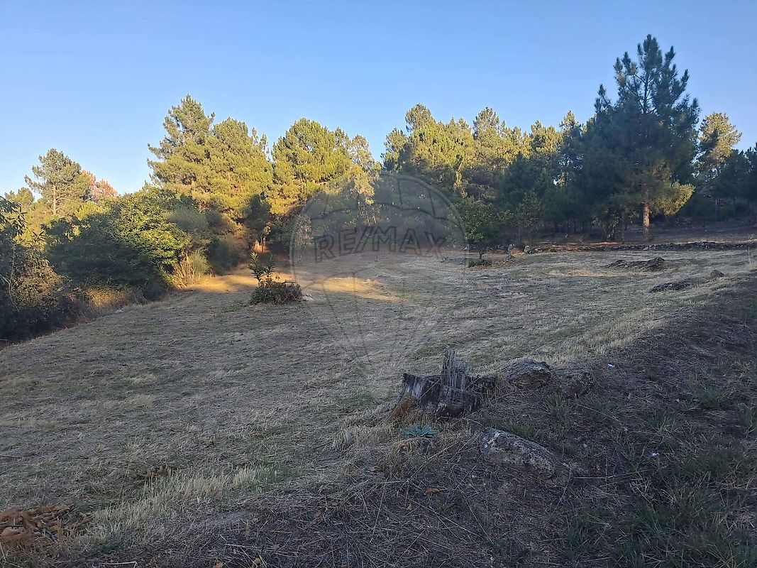 Terreno - Castelo, Moimenta da Beira, Viseu