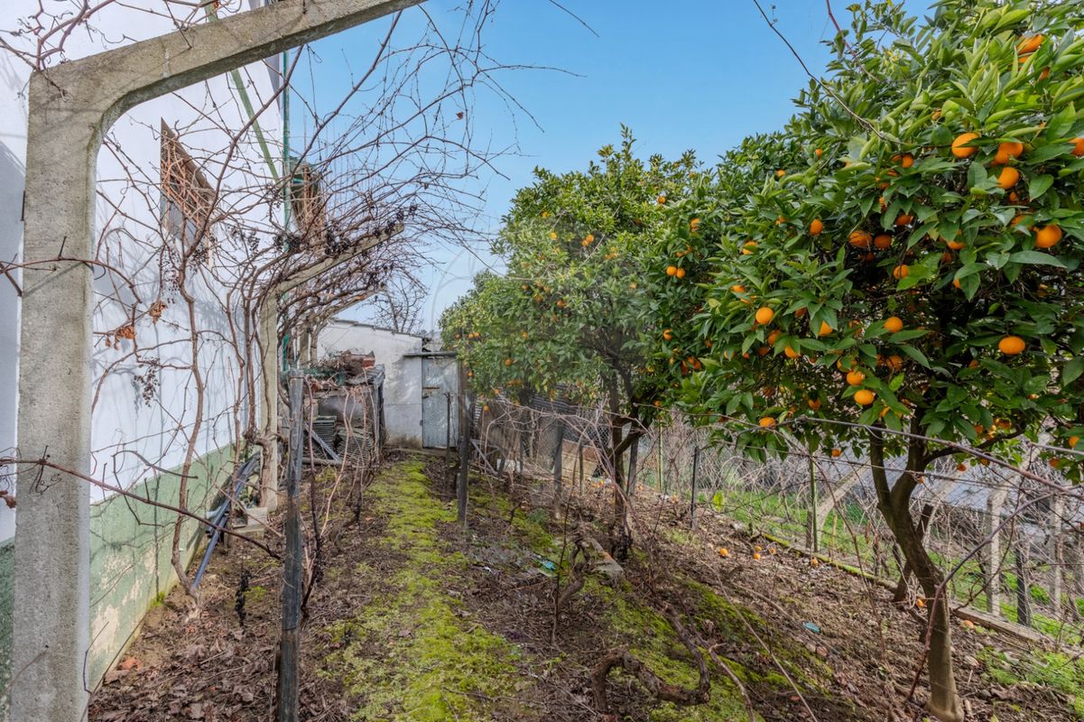 listing 124791046-7 picture-0