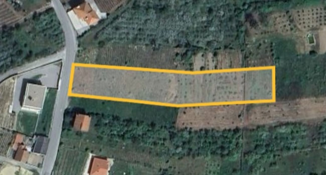 Terreno em Tarouca