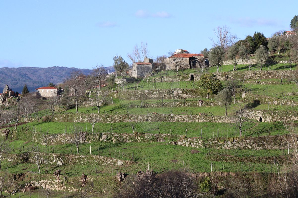 Terreno  para venda