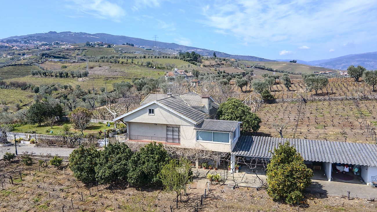 listing-picture-0