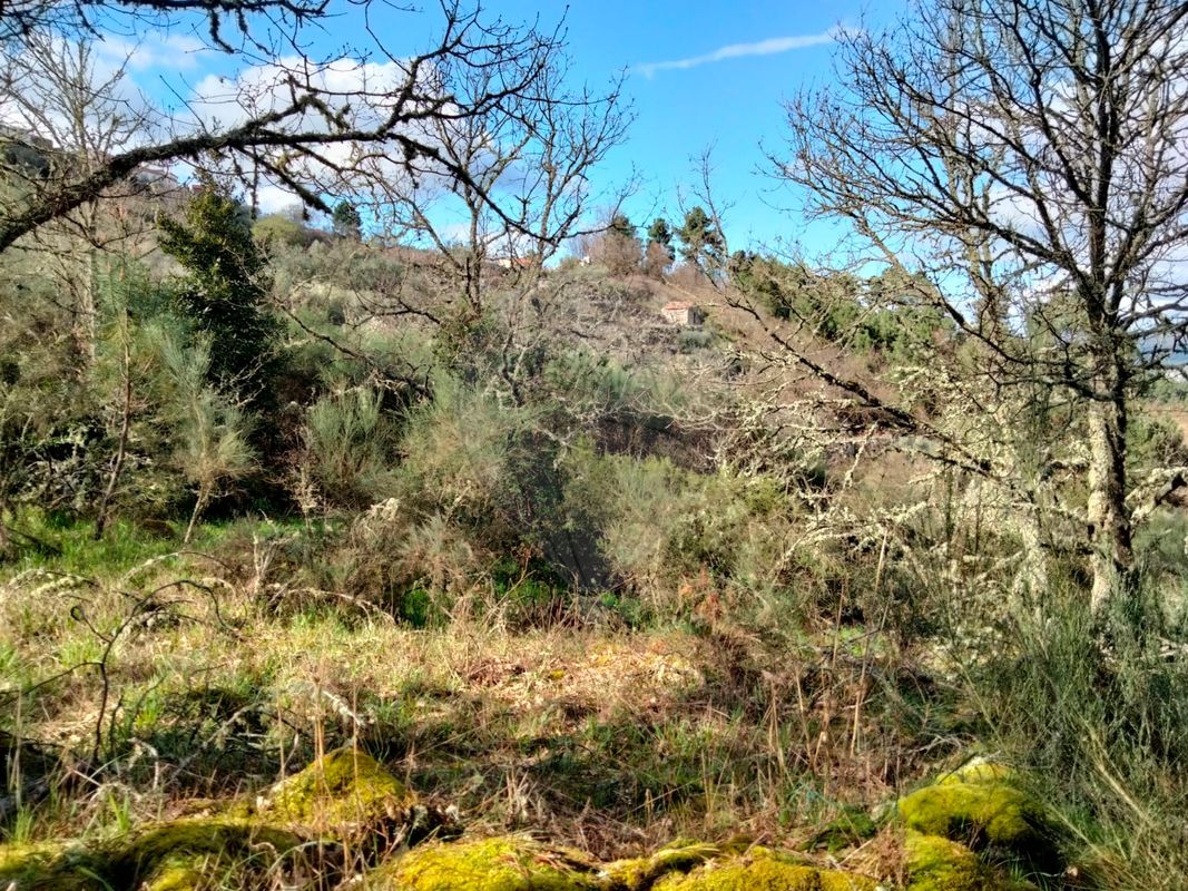 Terreno para venda