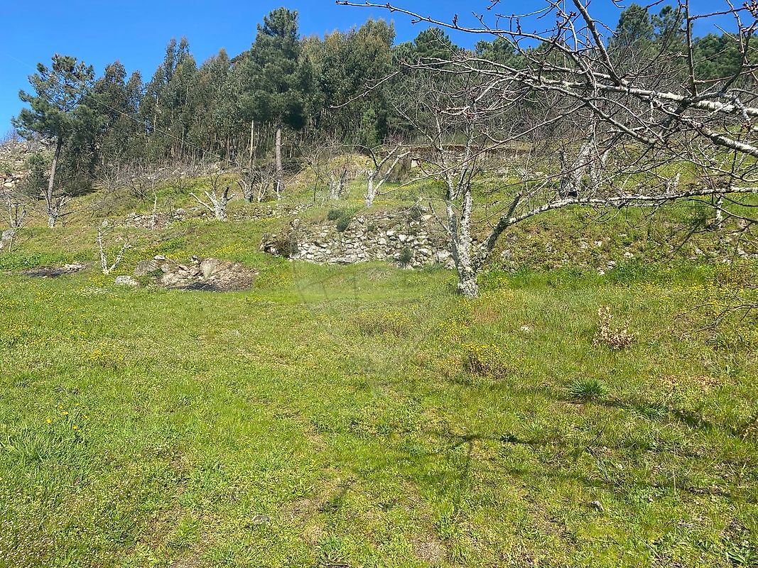 Terreno para venda