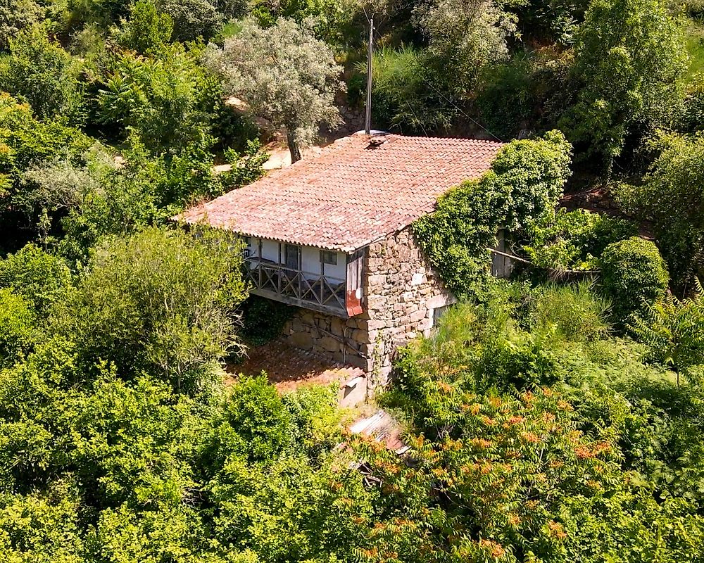 Quinta T0 à venda em Lamego