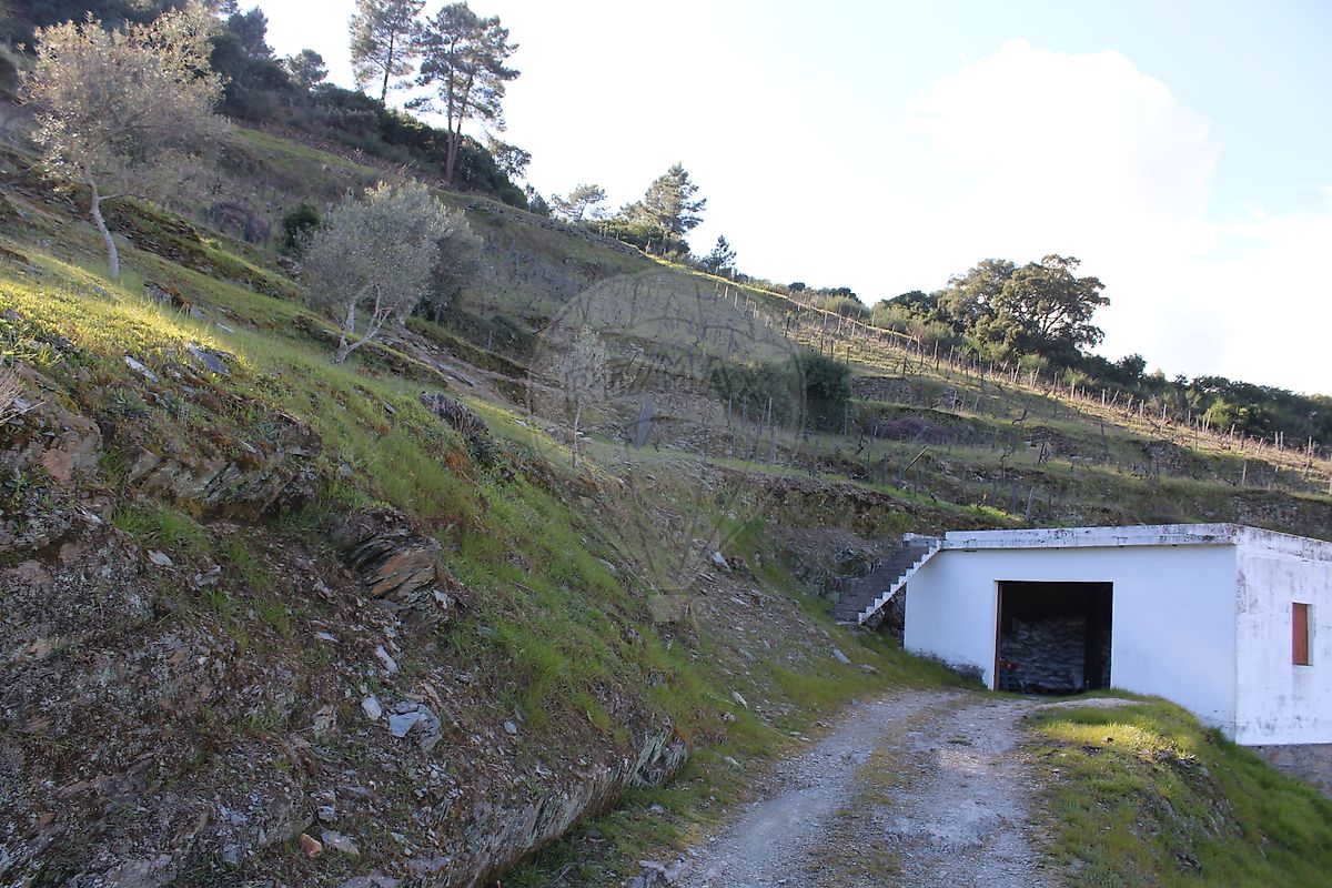 Armazém  para venda