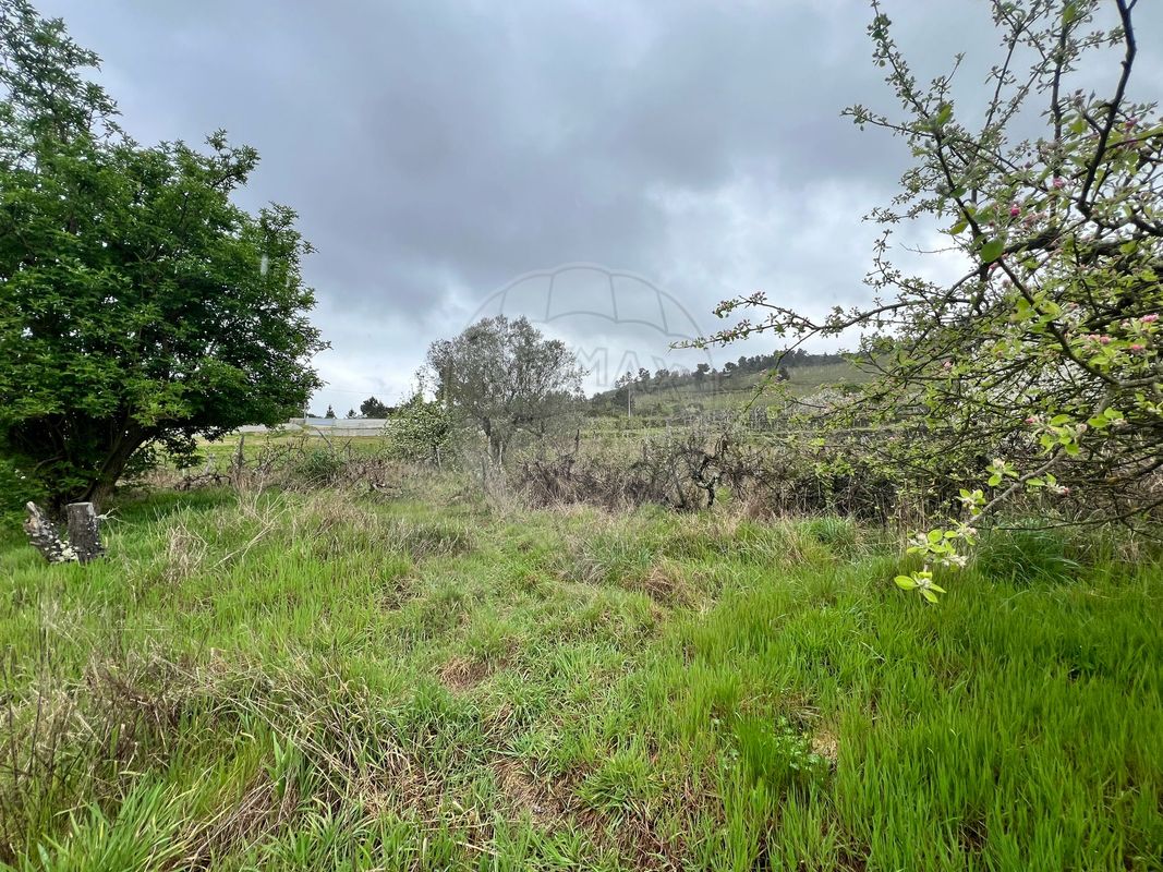 Terreno  para venda