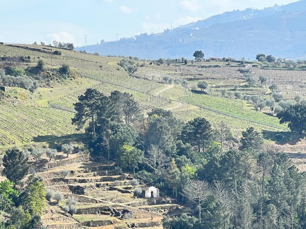 Terreno para venda