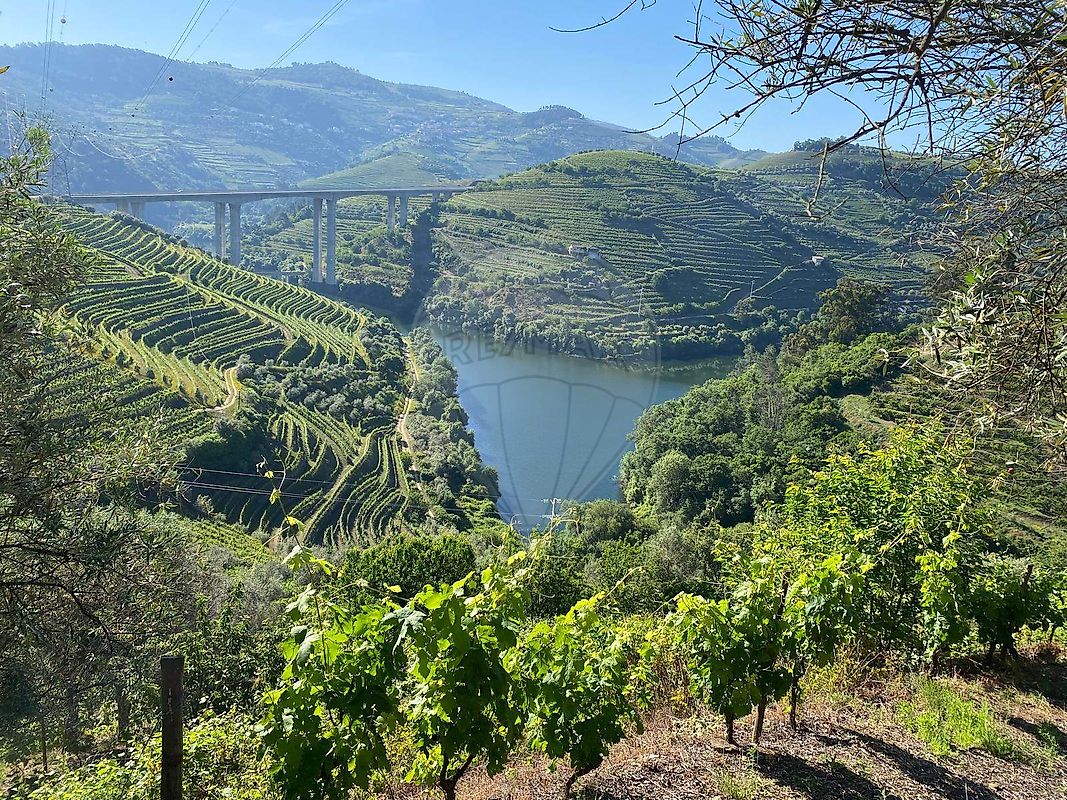 Terreno para venda