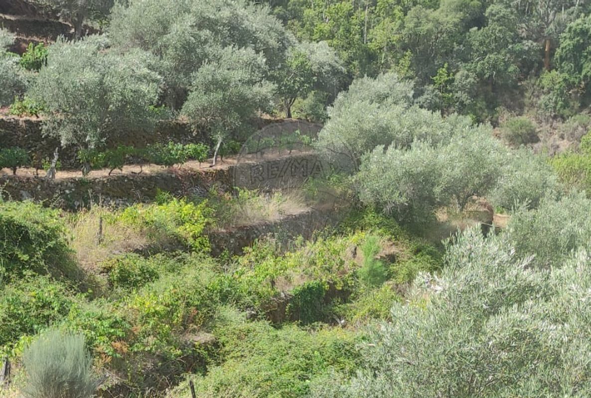 Terreno para venda