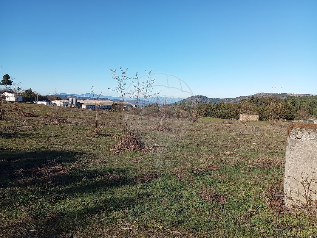 Quinta para venda